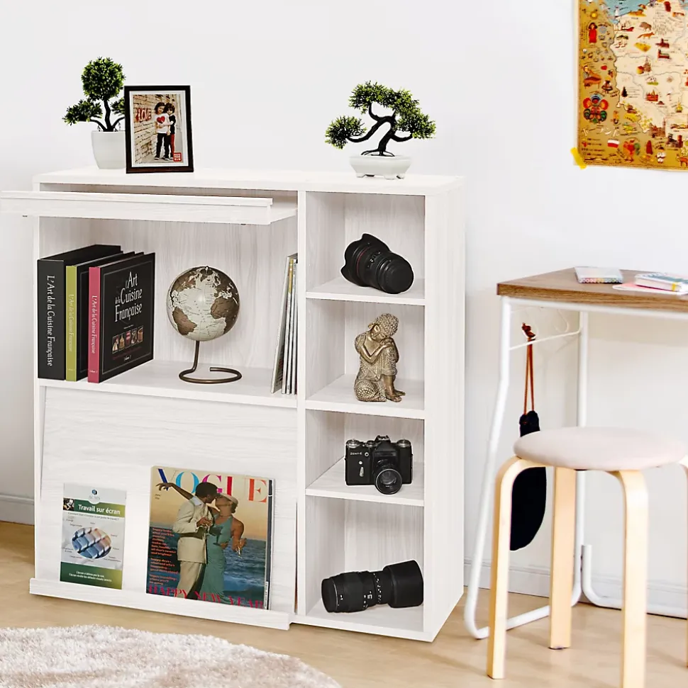 Iris Ohyama, Meuble, étagère, Bibliothèque de rangement, Avec 2 portes, FR-F2- Chêne Blanc, L33.8 x P89 x H90 cm