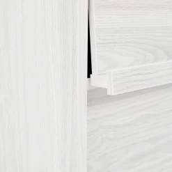 Iris Ohyama, Meuble, étagère, Bibliothèque de rangement, Avec 2 portes, FR-F2- Chêne Blanc, L33.8 x P89 x H90 cm