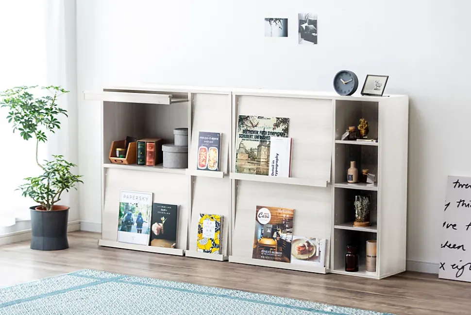 Iris Ohyama, Meuble, étagère, Bibliothèque de rangement, Avec 2 portes, FR-F2- Chêne Blanc, L33.8 x P89 x H90 cm