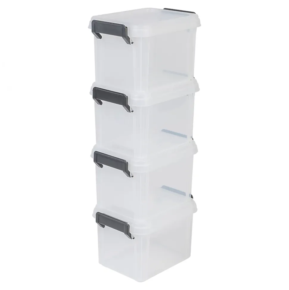 Iris Ohyama, Petites Boîtes de Rangement plastique, 2L, Lot de 4, Noir, DDMBX-2
