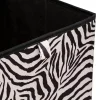 Lot de 2 boîtes de rangement ZEBRA