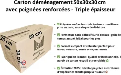 Lot de 20 cartons 50x30x30 cm poignées renforcées double épaisseur + 1 rouleau adhésif 68 m