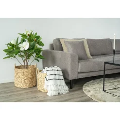 Lot de 2 Paniers Décoratifs de Rangement Passo, Marron, Jacinthe d'Eau, 35x35x37 cm, Seven Design