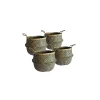 Lot de 4 paniers de rangement en jonc de mer naturel 25 x 25 cm