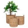Lot de 3 Paniers en Jonc de Mer Naturels pour Décoration et Rangement