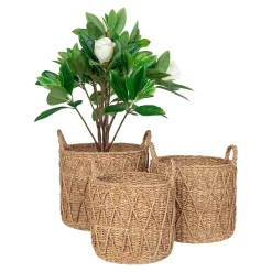 Lot de 3 Paniers en Jonc de Mer Naturels pour Décoration et Rangement