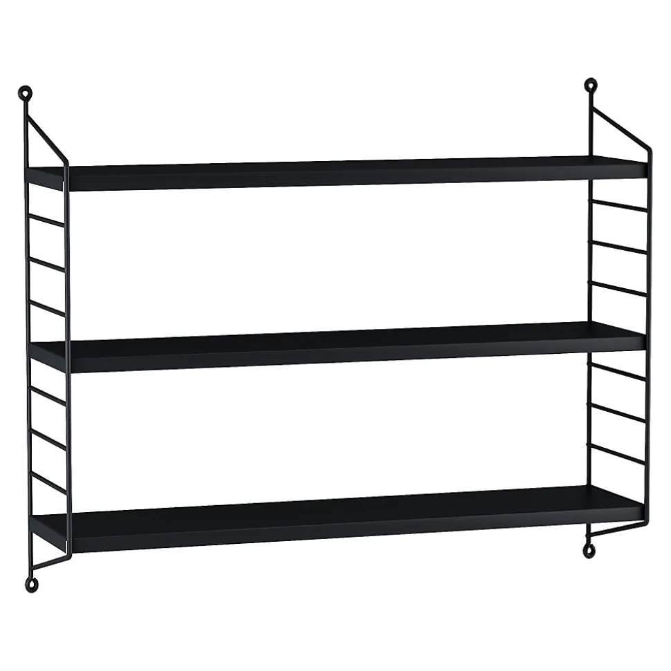 Lot de 2 étagères murales Strängnäs acier 50 x 60 x 15 cm noir en.casa