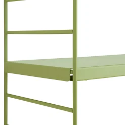 Lot de 2 étagères murales Strängnäs acier 50 x 60 x 15 cm olive en.casa