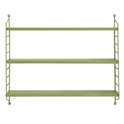 Lot de 2 étagères murales Strängnäs acier 50 x 60 x 15 cm olive en.casa
