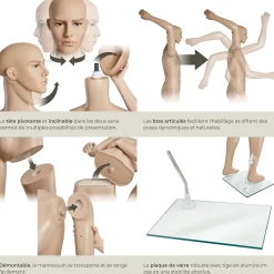 Mannequin de vitrine en Plastique Démontable