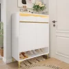 Meuble à chaussures 80 cm avec éclairage LED 16 couleurs, portes à étagères réglables et pieds métal doré