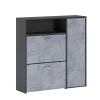 Meuble à chaussures Aldaya, Etagere à chaussures peu encombrante, Meuble avec 3 portes pliantes, 92x27h94 cm, Anthracite, Ciment
