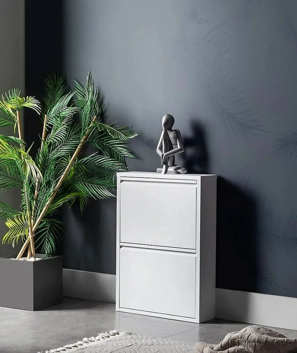Meuble à chaussures Ezequiel, Meuble à chaussures, Armoire d'entrée polyvalente, Rangement pour chaussures, 50x15h71 cm, Blanc