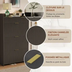 Meuble à chaussures noir moderne avec étagère supérieure et rangement compartimenté, 1 tiroirs, bacs pratiques