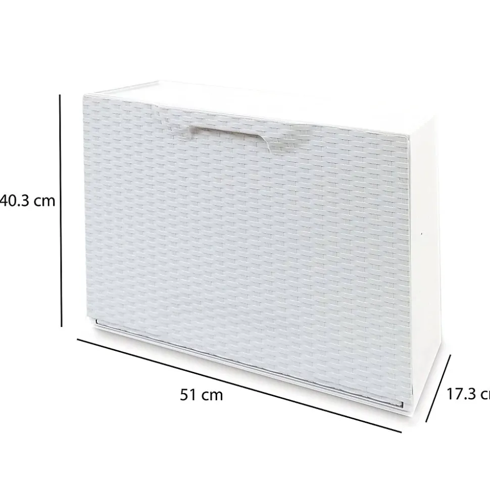 Meuble chaussures Darmitan, Meuble chaussures peu encombrante, Meuble à chaussures 1 porte, 51x17h40 cm, Blanc