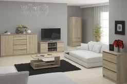 Meuble TV pour salon AKORD Chêne Sonoma 120 cm 2 portes façade Chêne Sonoma 2 étagères 120x40x55 cm