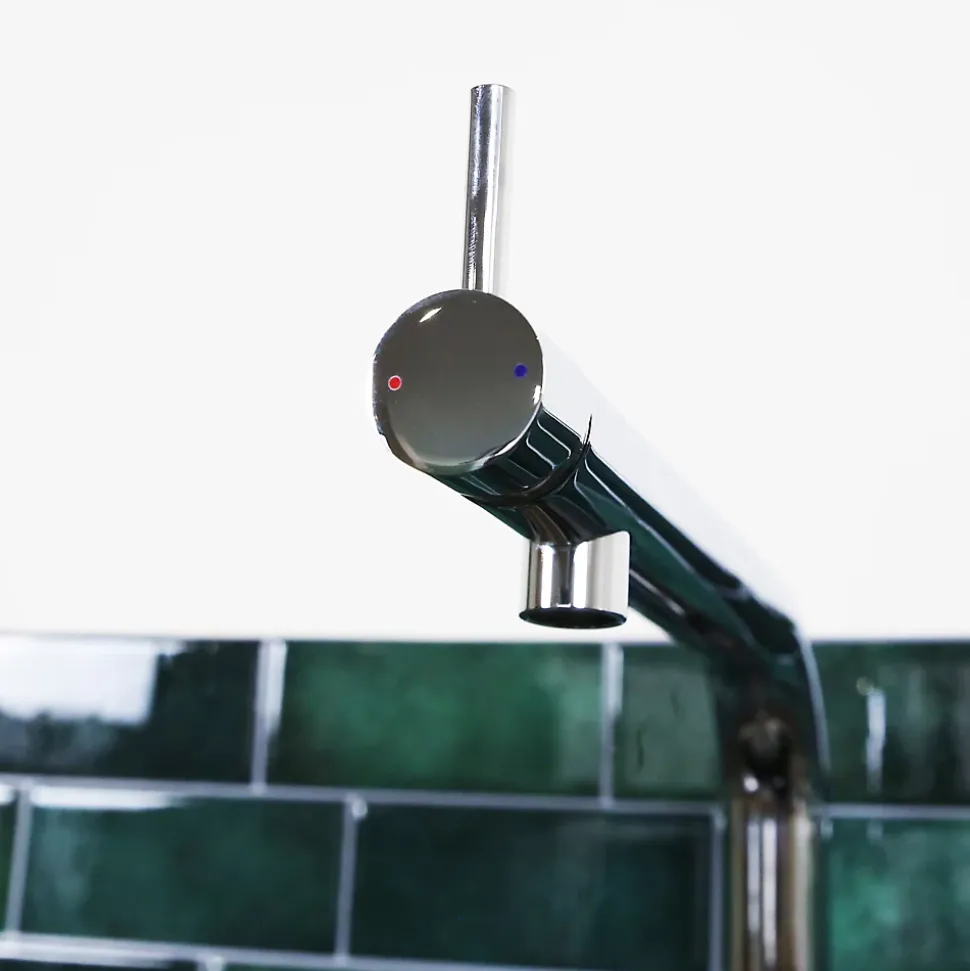 Mitigeur de cuisine argenté avec douchette Essebagno Magic