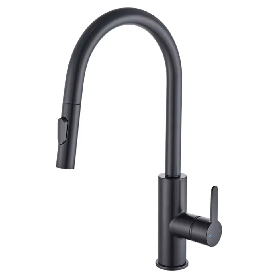 Mitigeur de cuisine avec douchette noir GoodHome Zanthe