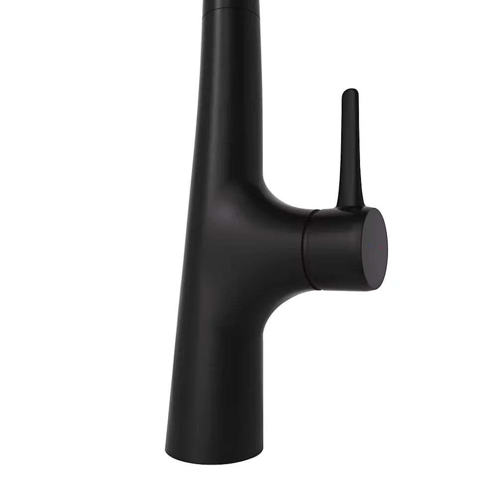 Mitigeur de cuisine noir GoodHome Edulis