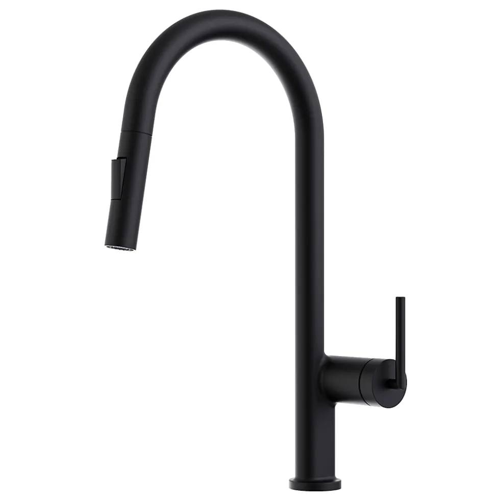 Mitigeur de cuisine noir avec douchette Essebagno Iconic