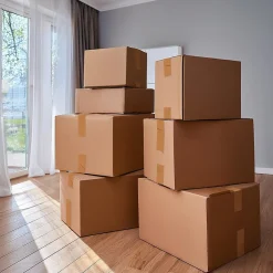 Pack and Move - Lot 12 rouleaux ruban adhésif marron pour emballage et déménagement - 66 m - Qualité Premium