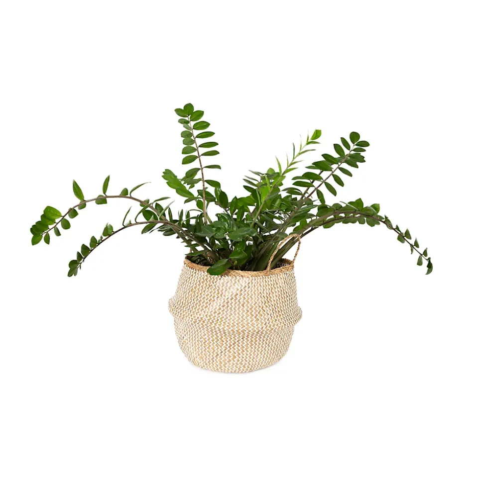 Panier Belly naturel et blanc taille L