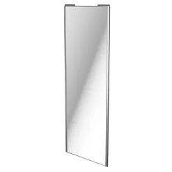 Porte de placard coulissante miroir profil gris GoodHome Arius H. 248,5 x L. 92.2 cm + amortisseurs