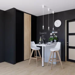 Porte de placard coulissante noir mat profil noir GoodHome Arius H. 248,5 x L. 62.2 cm + amortisseurs