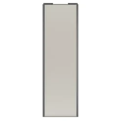 Porte de placard coulissante gris clair mat profil gris GoodHome Arius H. 248,5 x L. 77.2 cm + amortisseurs