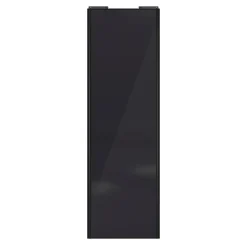 Porte de placard coulissante noir profil noir GoodHome Arius H. 248,5 x L. 77.2 cm + amortisseurs