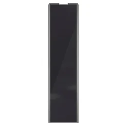 Porte de placard coulissante noir profil gris GoodHome Arius H. 248,5 x L. 62.2 cm + amortisseurs