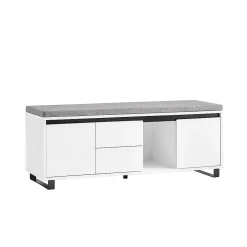 SoBuy Banc d'Entrée avec Coussin, 2 Tiroirs et 2 Portes, Blanc, 110x35x42 cm, FSR176-W