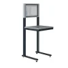 Support informatique sur patins - Ecran 22 pouces - Gris anthracite - W040010009-GA