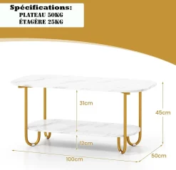 Table Basse Ovale à 2 Niveaux 100x50x45CM-Plateau en Faux Marbre et Etagère Ouverte-Charge 50+25KG-4 Patins de Protection