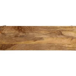 Table console marron 110x35x76cm bois massif de manguier et fer vidaXL