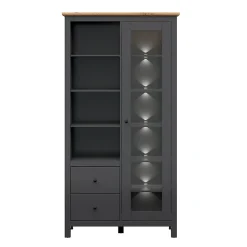 Vaisselier 1 porte 2 tiroirs avec LED Duck Gris anthracite et Bois