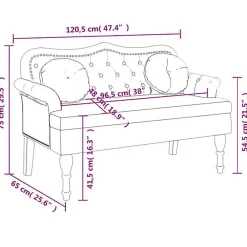 vidaXL Banc avec Coussins, Canapé avec Accoudoir et Dossier, Banquette avec Pieds en Bois, Siège de Salon Salle de Séjour, 372141