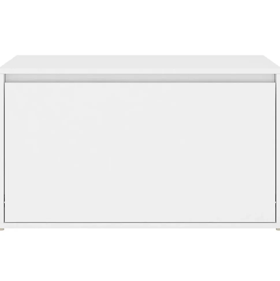 vidaXL Banc d'Entrée, Siège de Rangement, Meuble à Chaussures avec Assise, Organisateur de Salon Salle de Séjour Intérieur, 808666