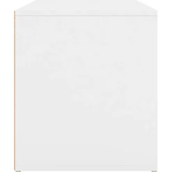 vidaXL Banc d'Entrée, Siège de Rangement, Meuble à Chaussures avec Assise, Organisateur de Salon Salle de Séjour Intérieur, 808666