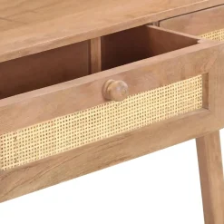 vidaXL Table console 100x35x76 cm Bois de manguier massif