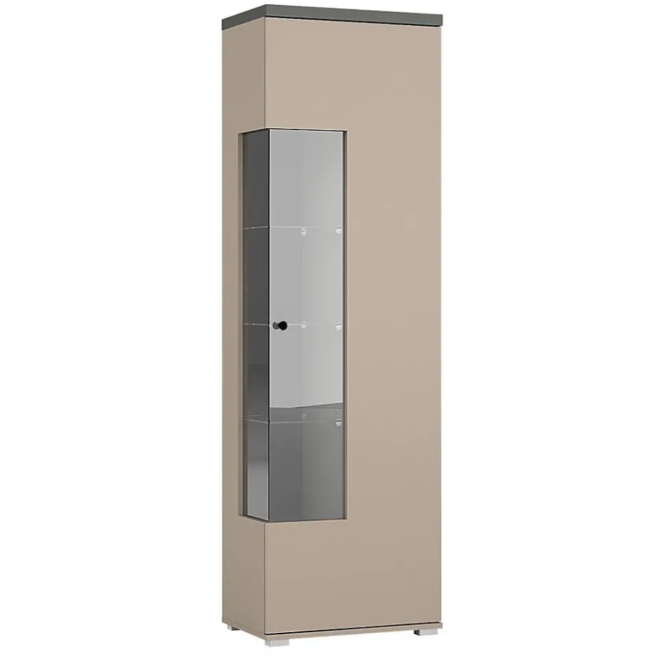 Vitrine 1 porte collection NESS Finition Congo & Anthracite 10 niches de rangement Sans LED