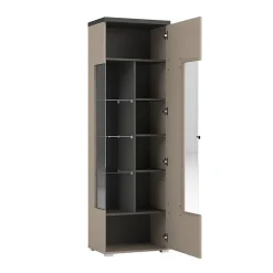Vitrine 1 porte collection NESS Finition Congo & Anthracite 10 niches de rangement Sans LED