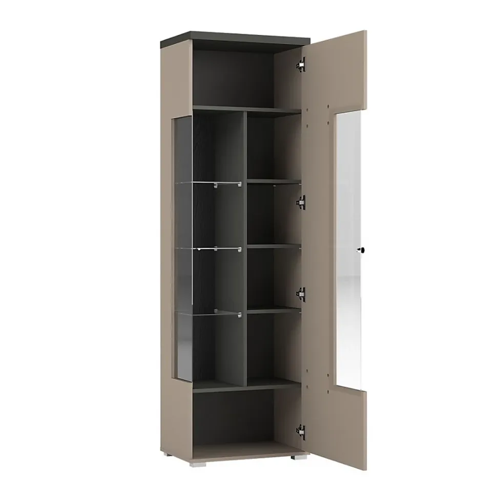 Vitrine 1 porte collection NESS Finition Congo & Anthracite 10 niches de rangement Sans LED