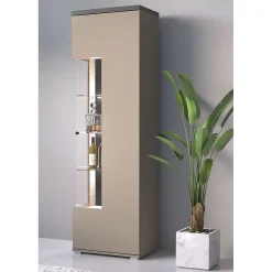 Vitrine 1 porte collection NESS Finition Congo & Anthracite 10 niches de rangement Sans LED