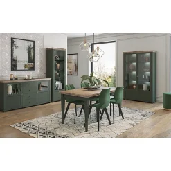 Vitrine 1 porte ouverture droite Martin Vert et Bois