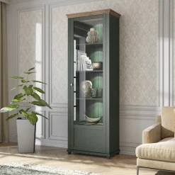 Vitrine 1 porte ouverture droite Martin Vert et Bois