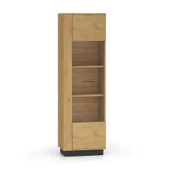 Vitrine 1 porte Ysia Bois et Noir