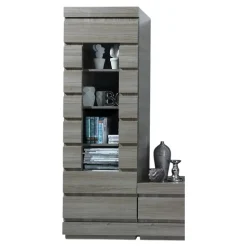 Vitrine DUCAL - 1 Porte - Coloris Effet Bois Gris - 60 x 50 x 185 cm