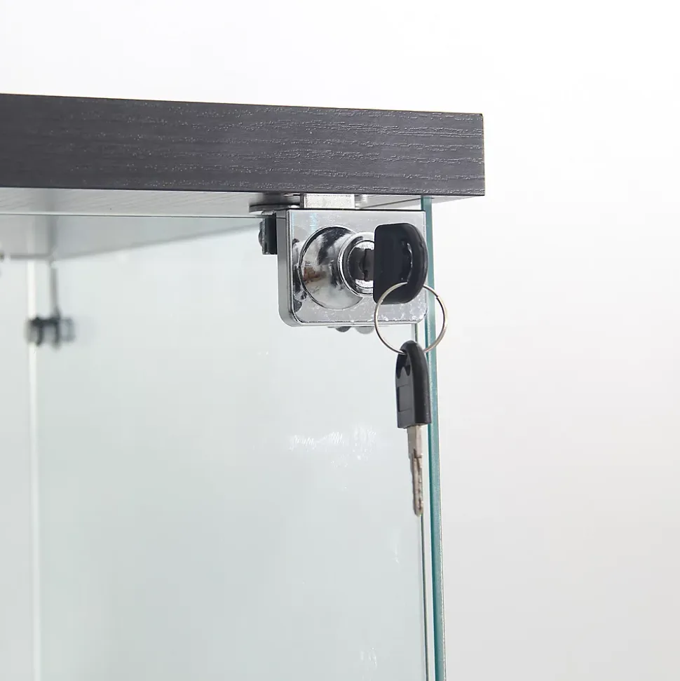 Vitrine en Verre - 3 étagères - Avec LEDs, lumière et serrure, noir