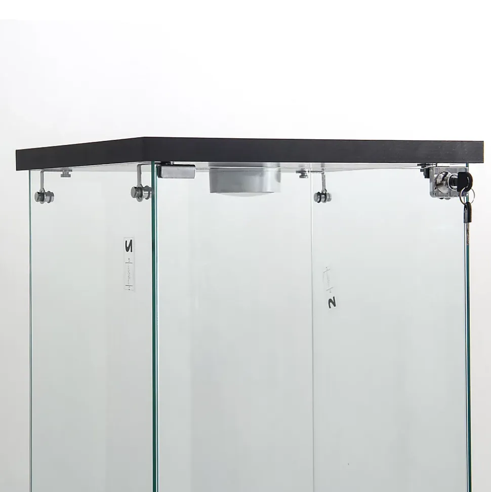 Vitrine en Verre - 3 étagères - Avec LEDs, lumière et serrure, noir